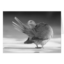 An angel in the sky I Card