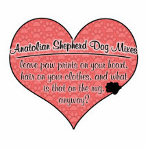 Anatolian Shepherd Dog Mixes Paw Prints Dog Humour Photo Cutouts