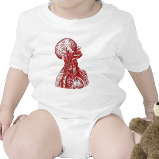 Anatomy Bust Red Creeper