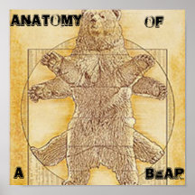 Anatomy of a Bear Poster