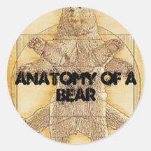 Anatomy of a Bear sticker
