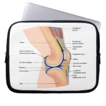 Anatomy of human knee joint Electronics Bag Laptop Sleeves