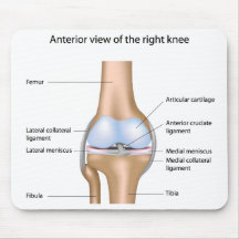 Anatomy of knee joint Mousepad