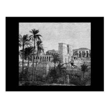 Ancient Egypt Temple Postcard