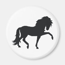 Andalusian Magnet