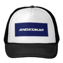 andesmar_logo mesh hat