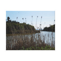 Andree Clark Bird Refuge, Santa Barbara, CA Canvas Print
