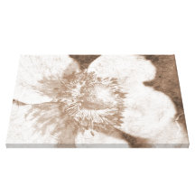 Anemone Gespannte Galeriedrucke
