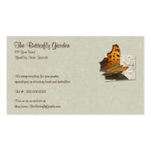 Angle Wing Comma Butterfly Series Business Card Template