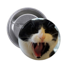 Angry Cat Pinback Buttons