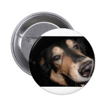 ANIMAL ASSORTMENT BUTTON