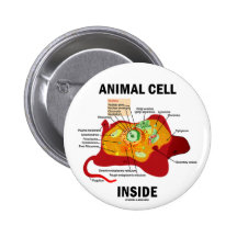 Animal Cell Inside (Eukaryote Cell Biology) Button
