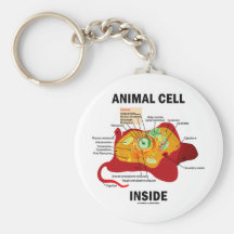 Animal Cell Inside (Eukaryote Cell Biology) Key Chain