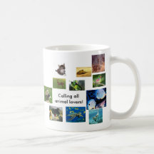 'Animal Crazy '  Mug