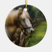 Animal - Horse - White Stallion Christmas Ornament