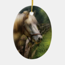 Animal - Horse - White Stallion Christmas Tree Ornaments