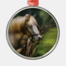 Animal - Horse - White Stallion Ornaments