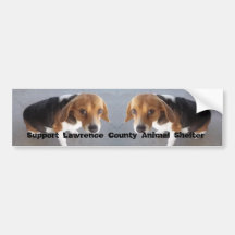 Animal Shelter Bumper Sticker