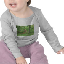 Animal T Shirts
