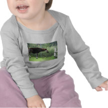 Animal Tee Shirt