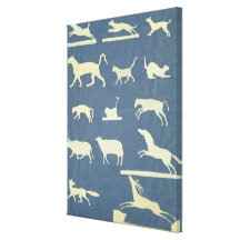 Animals Stretched Canvas Print