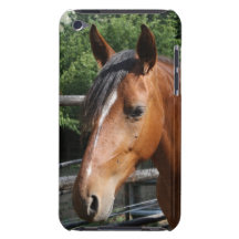 Annie iPod Touch Case