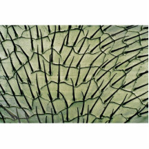 Ant - side photo sculpture