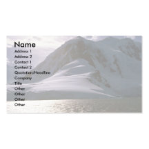 Antarctica Business Card
