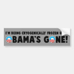 Anti Obama Bumper Sticker