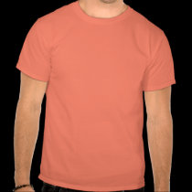 Anti Obama Economy T-Shirt t-shirts