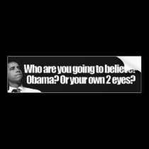 Anti Obama - Romney - Ryan - 2012 bumper stickers