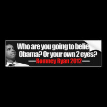 Anti Obama - Romney - Ryan - 2012 bumper stickers