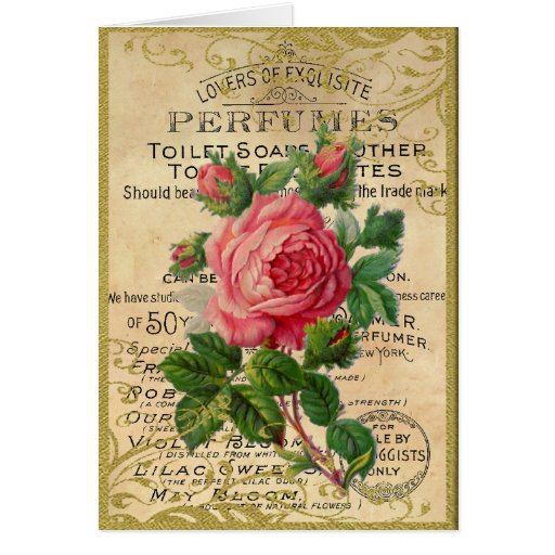 http://rlv.zcache.co.nz/antique_french_roses_note_card-rdde19f41bacb436bad78b08a9cb75c9e_xvuai_8byvr_512.jpg