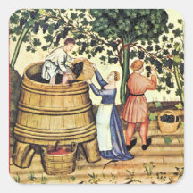 ANTIQUE GRAPE VINEYARD HARVEST STICKER
