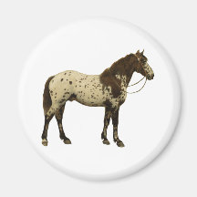 Antique Horses - Appaloosa Magnets