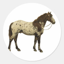 Antique Horses - Appaloosa Sticker