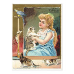 antique kitten post cards