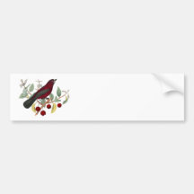 Antique Natural History Bird Print Red Finch Bumper Stickers