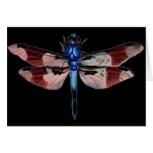 Antique Natural History Dragonfly Card