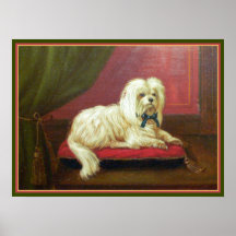 Antique Painting - Pampered Maltese on a Pillow Print