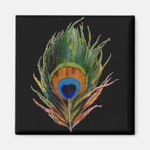 Antique Peacock Feather Magnet