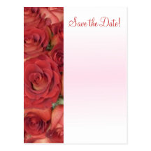 Antique Rose Post Card
