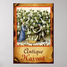 ANTIQUE SQUASH HARVEST PARCHMENT PRINT