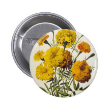 Antique Yellow Flowers Pinback Button
