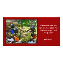 Ants coming to picnic, PhotoCards Custom Photo Card