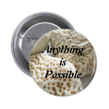 Anything is Possible button