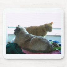Anyway you look at it we're friends mouse pad