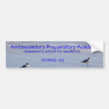 APA beach Bumper Sticker
