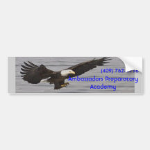 APA with Eagle Bumper Sticker