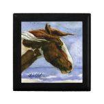 Apache of Sand Wash Basin HMA Gift Box